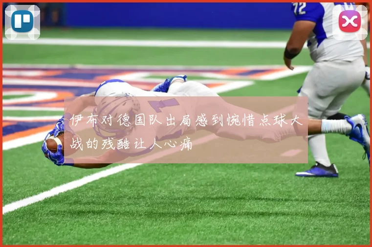 伊布对德国队出局感到惋惜点球大战的残酷让人心痛