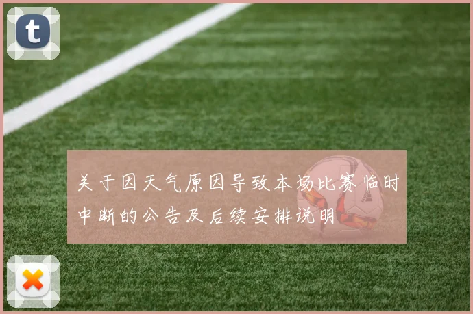 关于因天气原因导致本场比赛临时中断的公告及后续安排说明